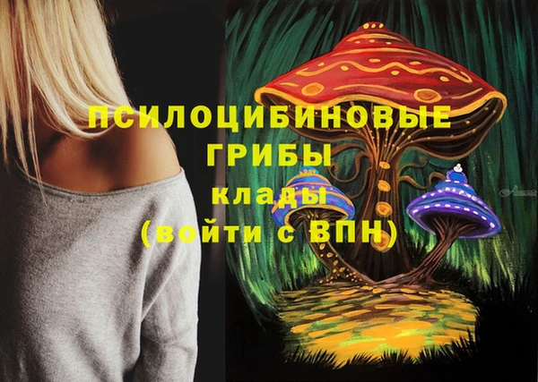 марки lsd Абаза